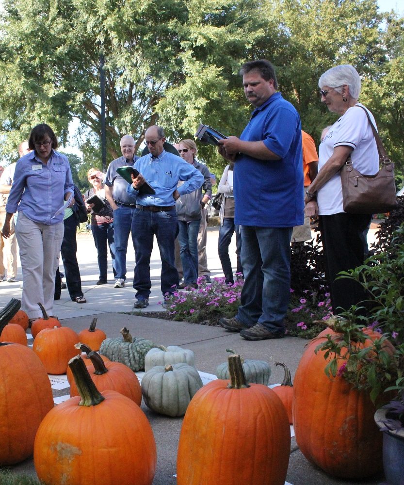 Visitors viewing pumpkins at Pumpkin Field Day Event 