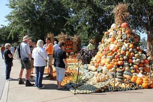 Guests viewing fall crop display at West Tennessee REC