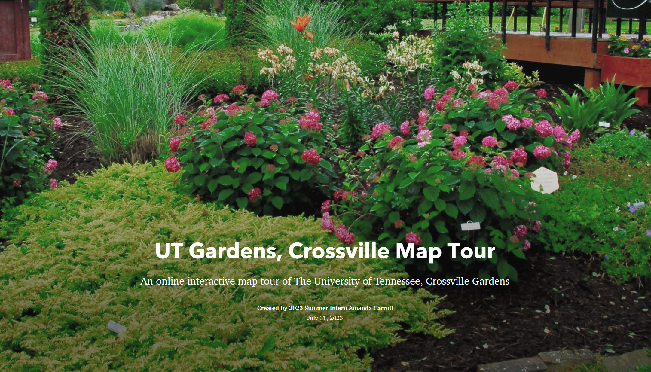 UT Gardens, Crossville Map Tour cover photo showing a variety of plants in bloom.