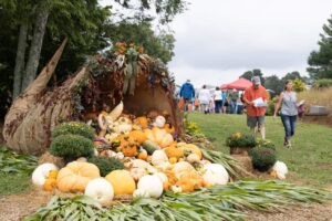 2023 Display from Fall Gardeners Festival